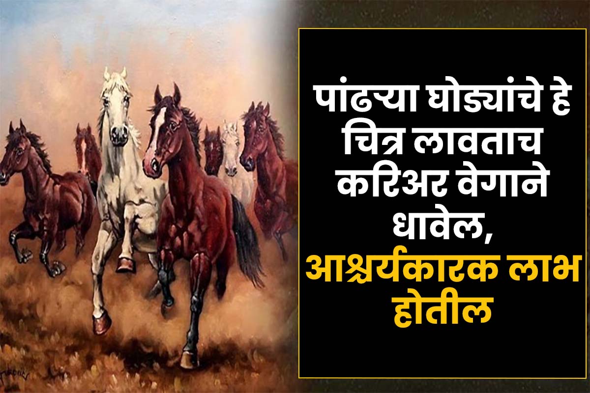 Vastu Tips For Horse Painting