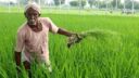 PM Kisan Yojana farmers Update