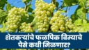 crop insurance details