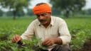 PM Kisan Yojana