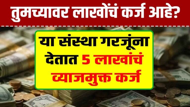 free loan from ngo india