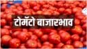 latest news tomato market current price