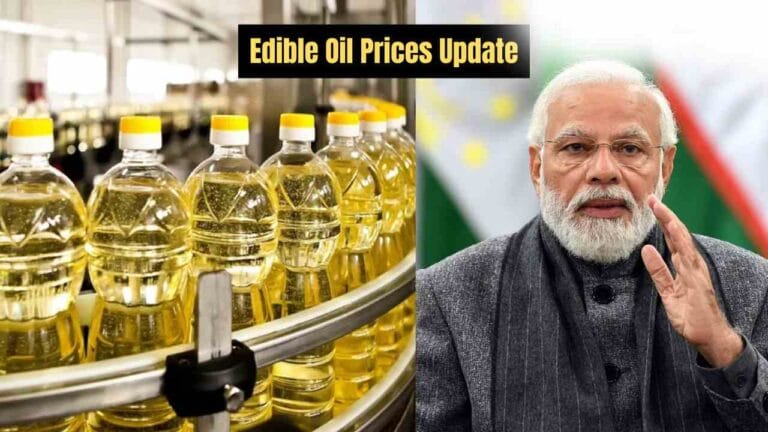 edible oil price
