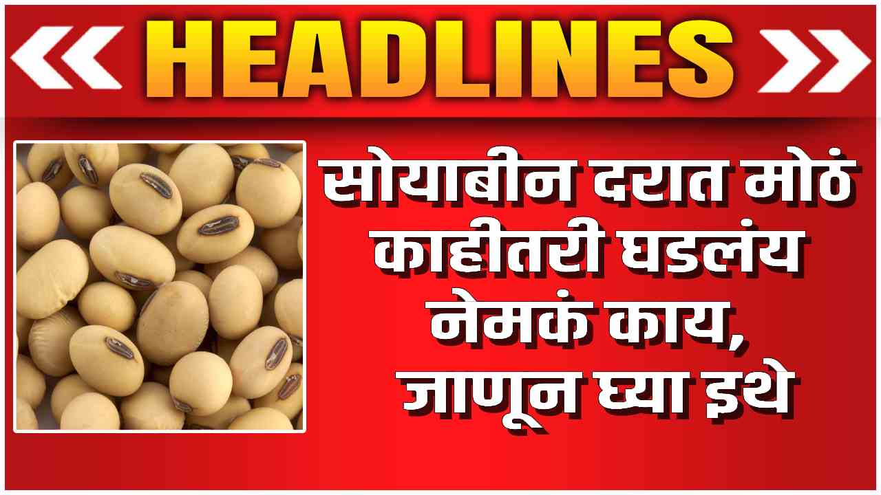 soyabean bajarbhav today maharashtra market