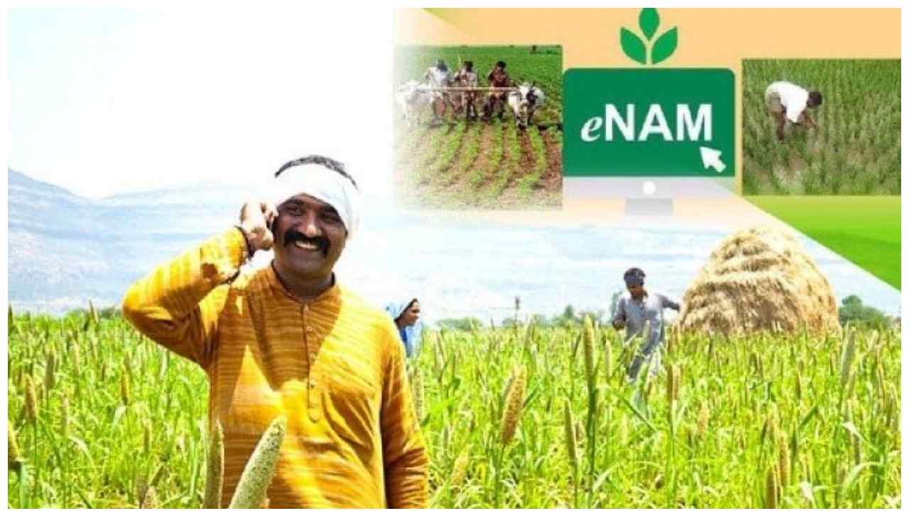 9 New Agricultural Commodities Added to e-NAM