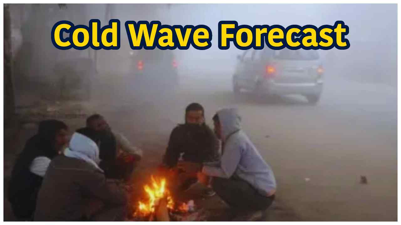 Cold Wave Forecast