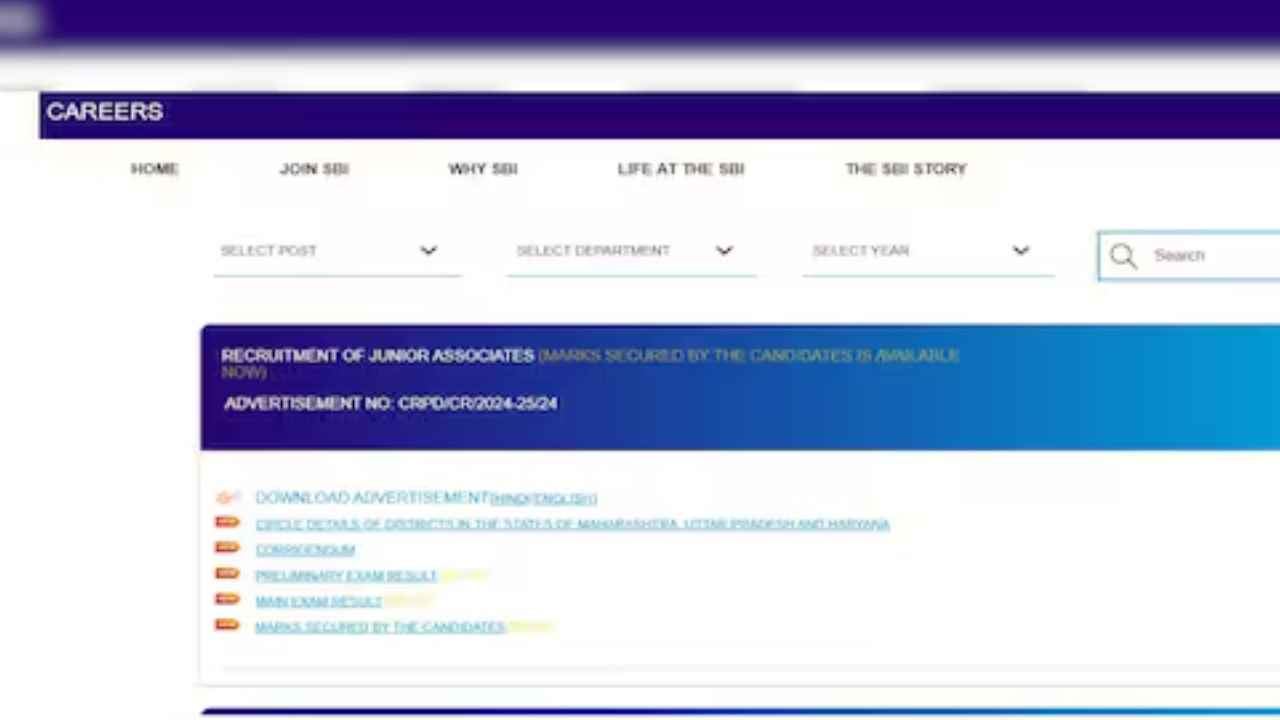 SBI Clerk Prelims 2025