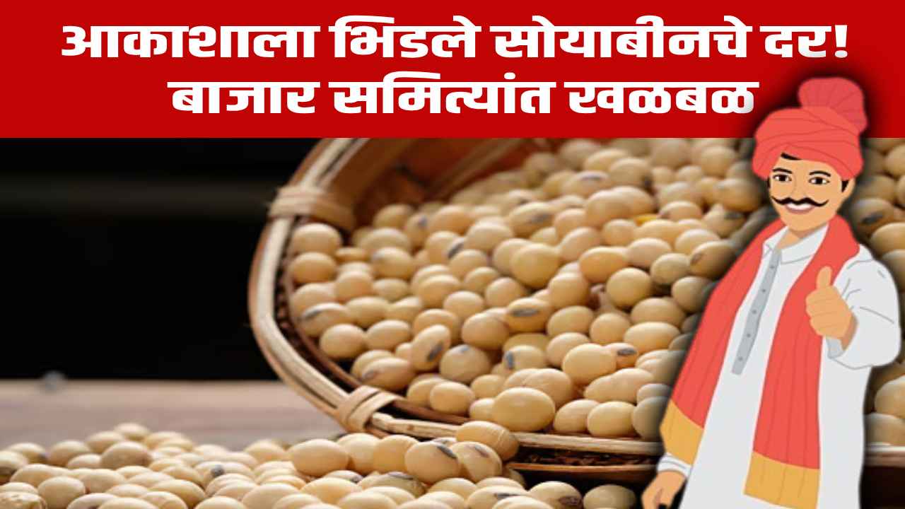 Soyabean Bajarbhav