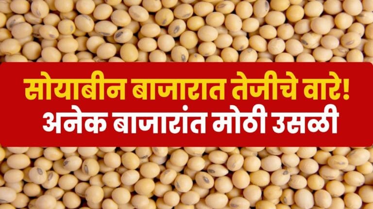 सोयाबीनचा ताजा बाजारभाव