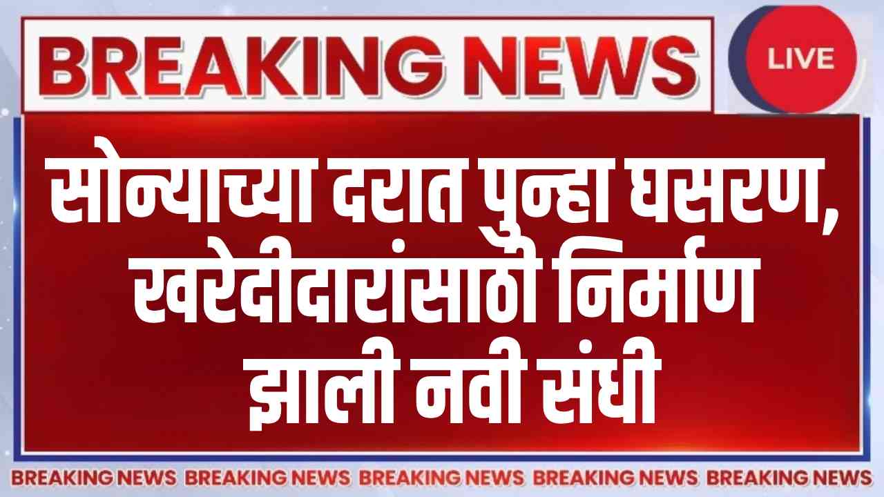 Gold price today 13 February 2026